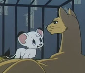 kimba captured